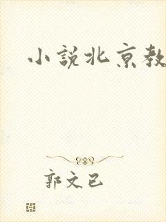 小说北京教父