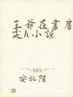 王爷在书房含乳尖h小说