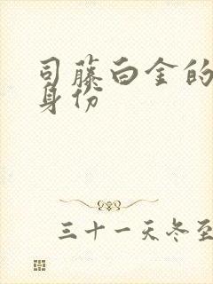 司藤白金的真实身份