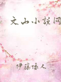 文山小说网
