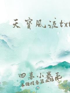 天宝风流txt