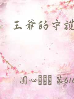 王爷的守护男妃