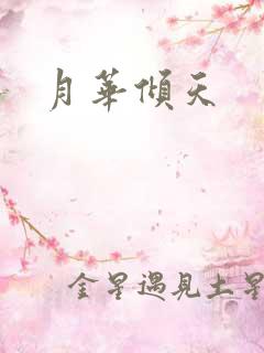 月华倾天