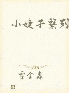 小婕子系列小说
