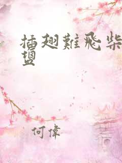 插翅难飞柴米油盐