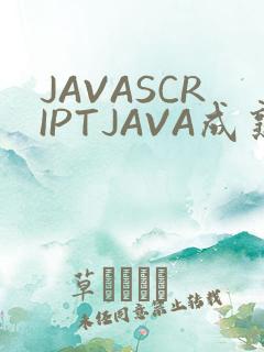 JAVASCRIPTJAVA成熟亲子