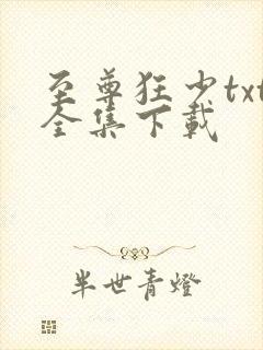 至尊狂少txt全集下载