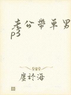 老公带单男回来p3
