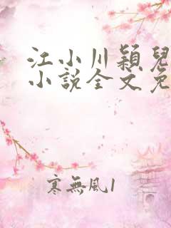 江小川颖儿穿越小说全文免费阅读