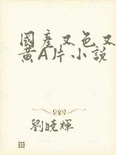 国产又色又爽又黄A片小说