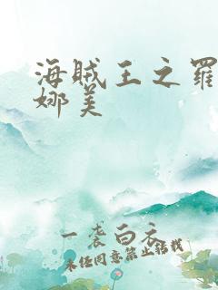 海贼王之罗宾h娜美