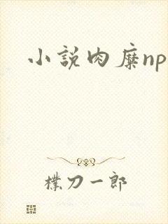 小说肉糜np