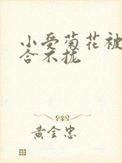 小受菊花被双龙合不拢