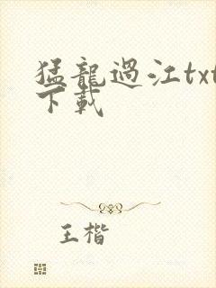 猛龙过江txt下载