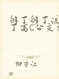 够了够了流出来了高C公交车