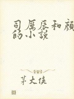 司厉辰和颜辞兮的小说