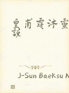 皇甫霆沐灵芸小说