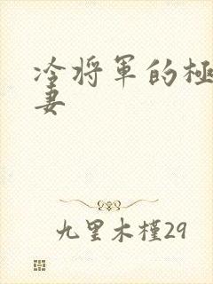 冷将军的极品娇妻