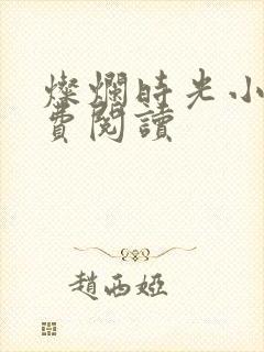 灿烂时光小说免费阅读