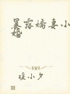 暴露娇妻小月新婚