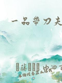 一品带刀夫人