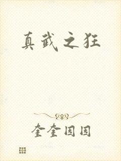 真武之狂
