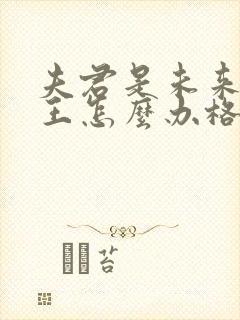 夫君是未来大魔王怎么办格格党