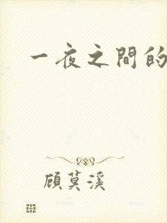 一夜之间的天才