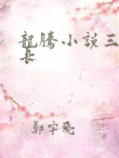 龙腾小说三宝局长