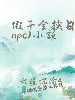 假千金挨日记(npc)小说