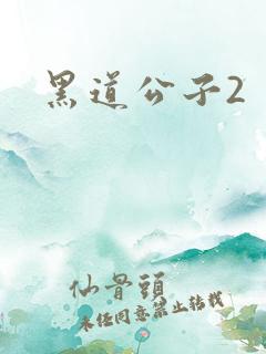 黑道公子2