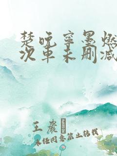 楚晚宁墨燃第一次车未删减