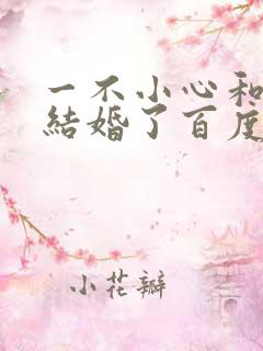 一不小心和醋精结婚了百度云