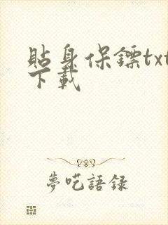 贴身保镖txt下载