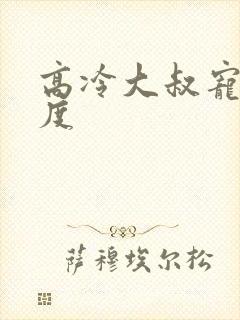 高冷大叔宠妻无度