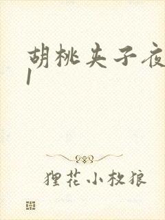 胡桃夹子夜未眠1