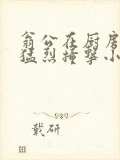 翁公在厨房和我猛烈撞击小说