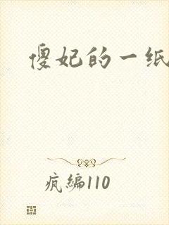 傻妃的一纸休书