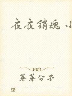 夜夜销魂 小说