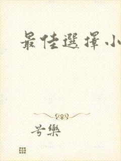最佳选择小说
