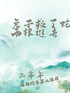 兔子救了蛇被蛇两根进去