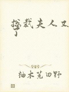 总裁夫人又征婚了