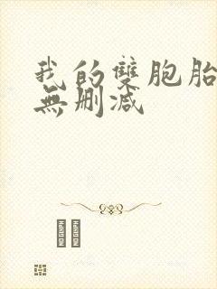 我的双胞胎老婆无删减