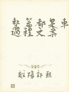 整篇都是车的肉过程文案