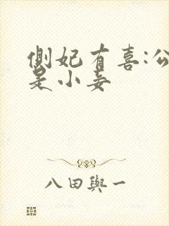 侧妃有喜:公主是小妾