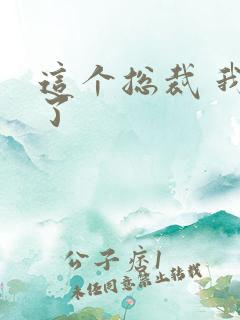 这个总裁 我要了