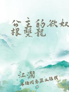 公主的欲奴h四根双龙