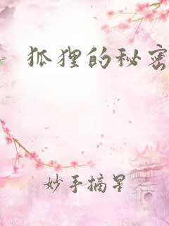 狐狸的秘密下载