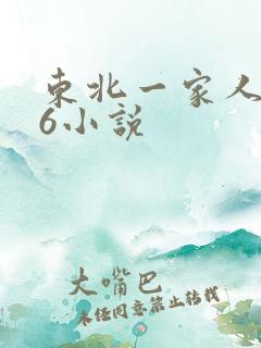 东北一家人1一6小说