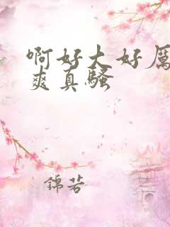 啊好大好厉害好爽真骚